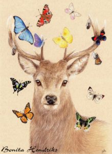 Stag in Colored Pencil by Bonita Hendriks